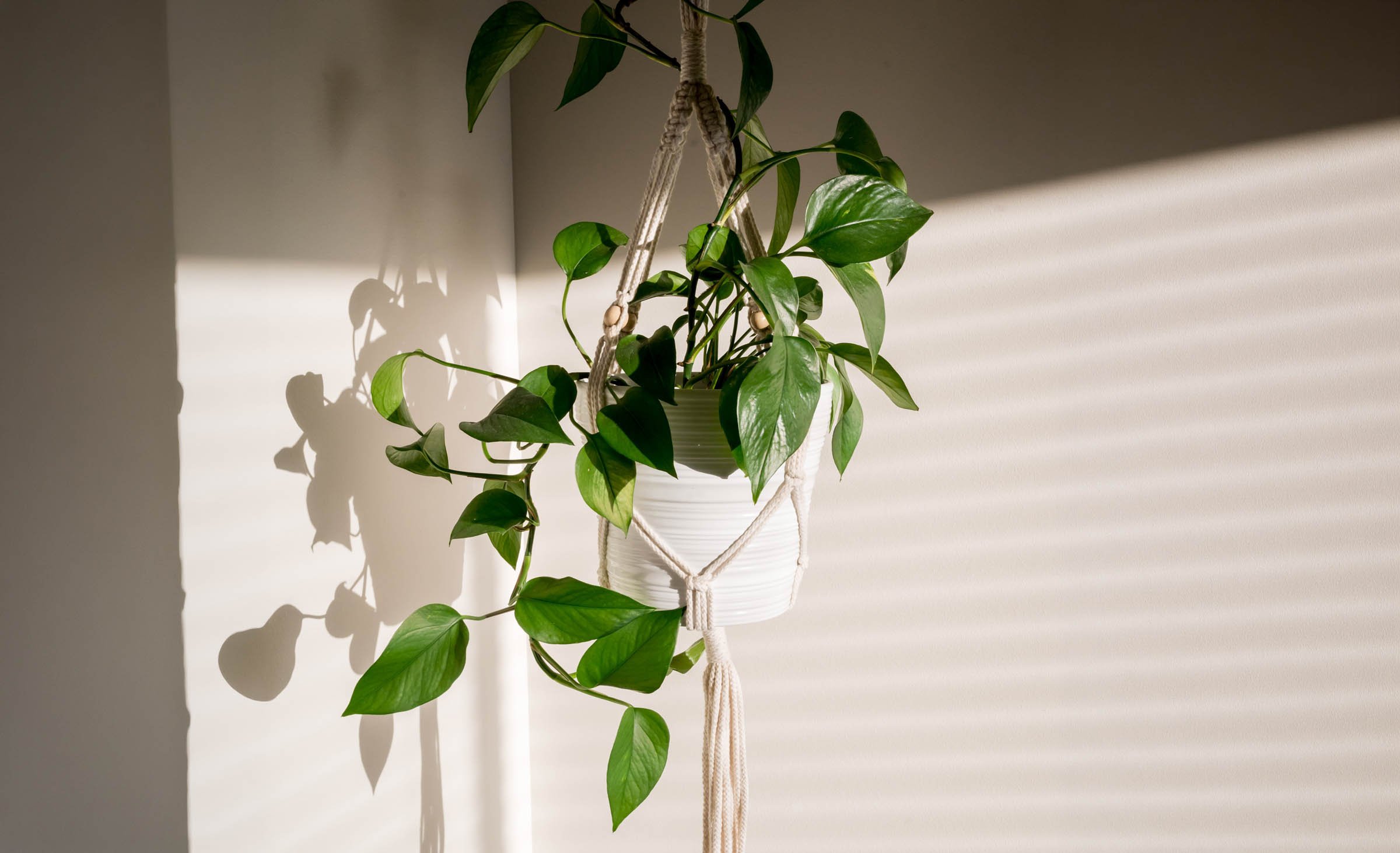 Tin Decor produkt 3